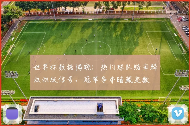 世界杯数据揭晓：热门球队赔率释放积极信号，冠军争夺暗藏变数