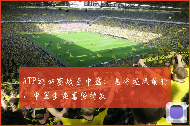 ATP巡回赛战至中盘：老将逆风前行，中国金花蓄势待发